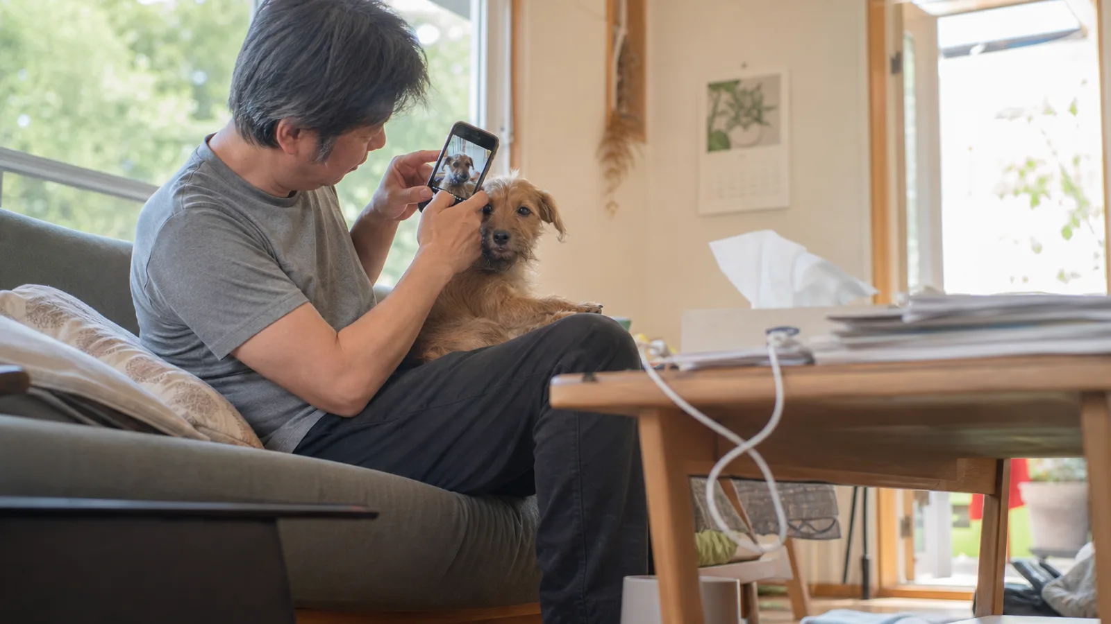 血統書がない子の記録をスマホで残す飼い主。血統書の有無にかかわらず家系の記録は残せる