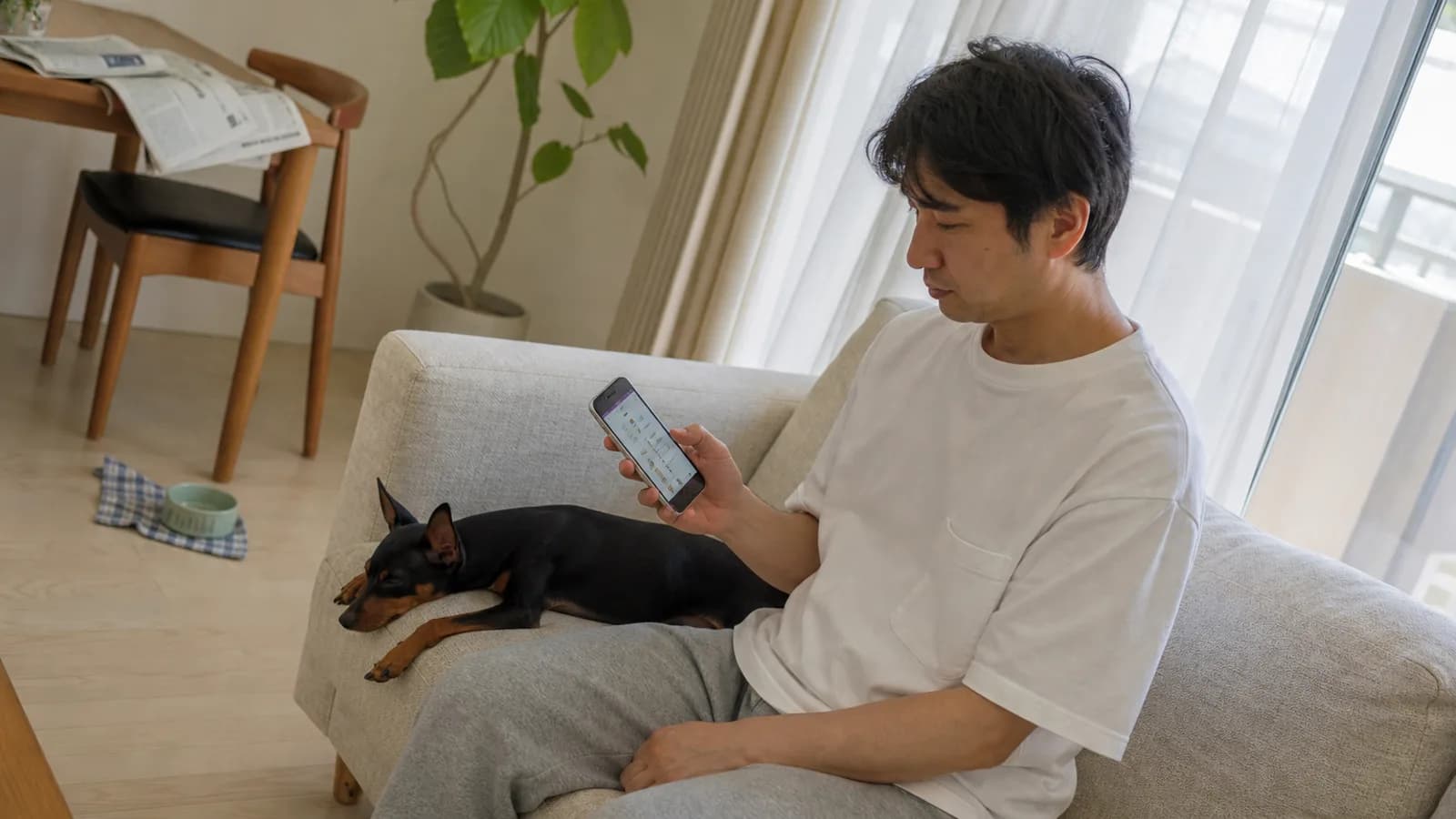 犬の遺伝性疾患の全体像を調べる飼い主。犬種ごとの傾向を知り、家系の記録につなげる