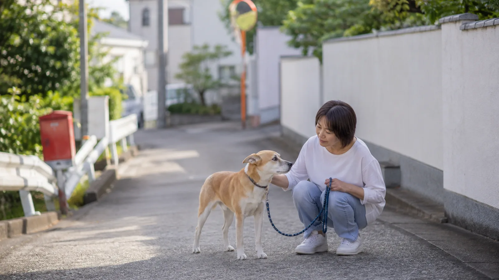 犬の尿路結石。成分ごとに違う名前と、名前が挙がる犬種を一次資料から解説