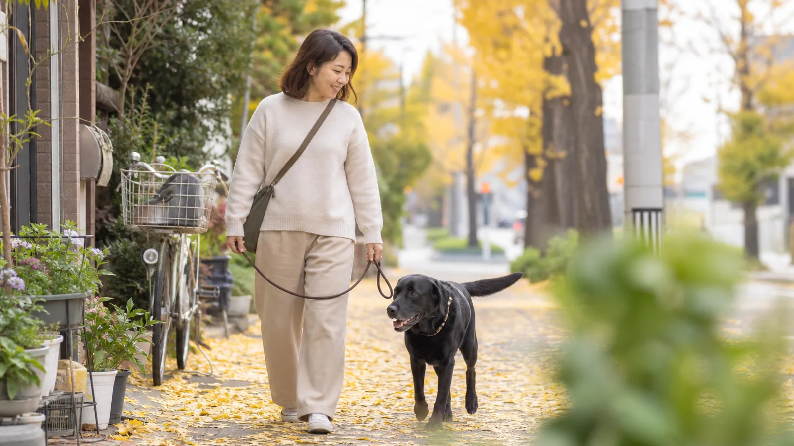 ラブラドールレトリーバーの性格と特徴。従順で聡明な気質を持つ大型犬種