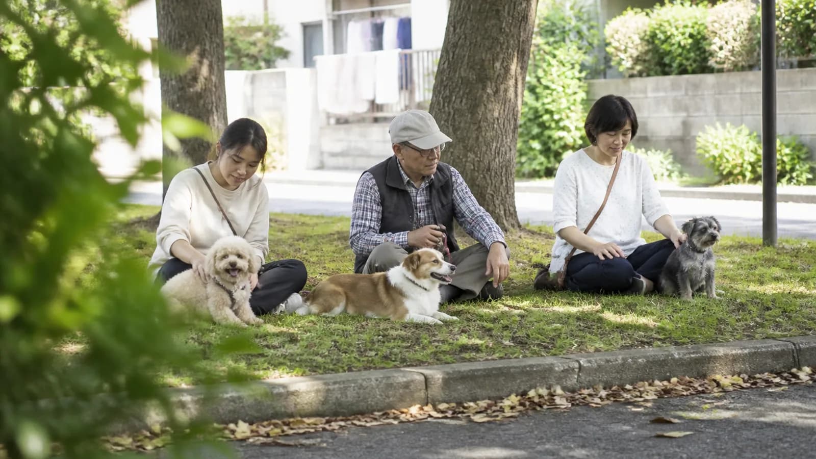 さまざまな組み合わせのミックス犬たち。それぞれの特徴と健康の考え方を知る