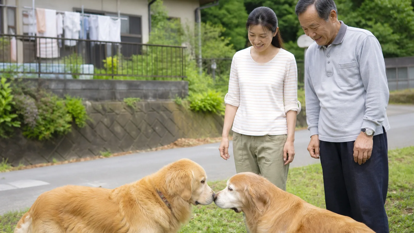 里帰りで実家のブリーダーさんを訪ねる飼い主と愛犬。訪問できることは歓迎する犬舎もある一方、方針はさまざま