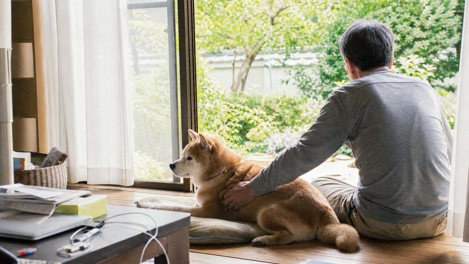 シニア期の愛犬のそばに寄り添う飼い主。看取りに正解はなく、決めておけることと残しておけることがある