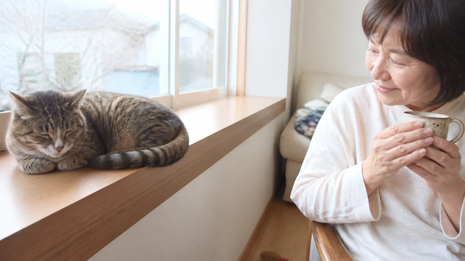 穏やかに過ごすシニア期の猫と、そばで見守る飼い主。シニア期はこれからも続く日常のひとつの時期