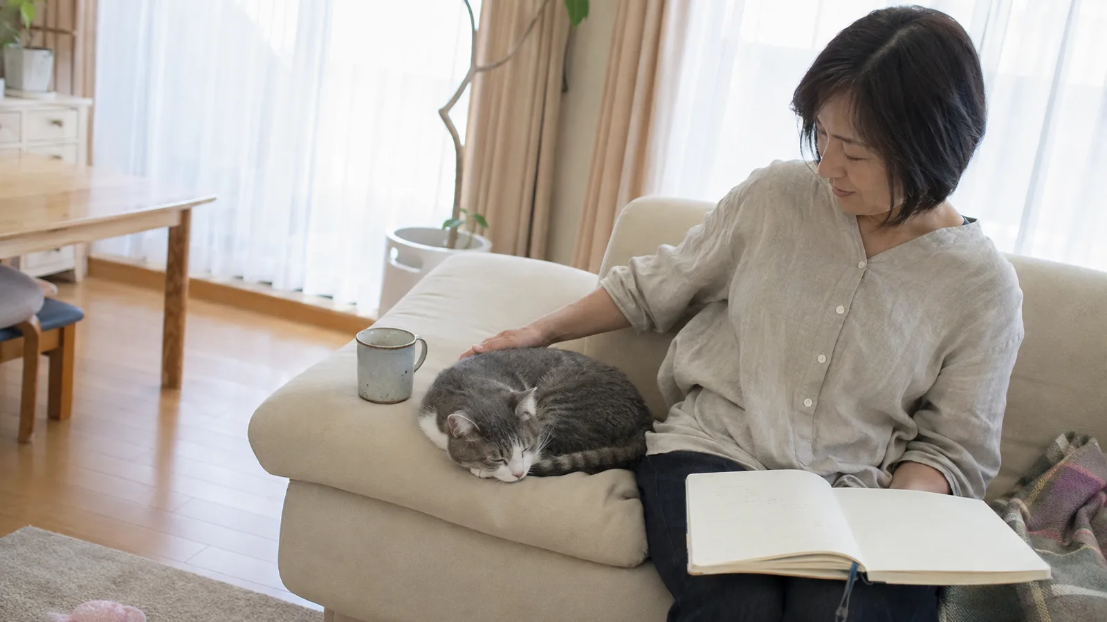 健康手帳を見ながらシニア猫と過ごす飼い主。腎臓の数値を家系と一緒に記録する