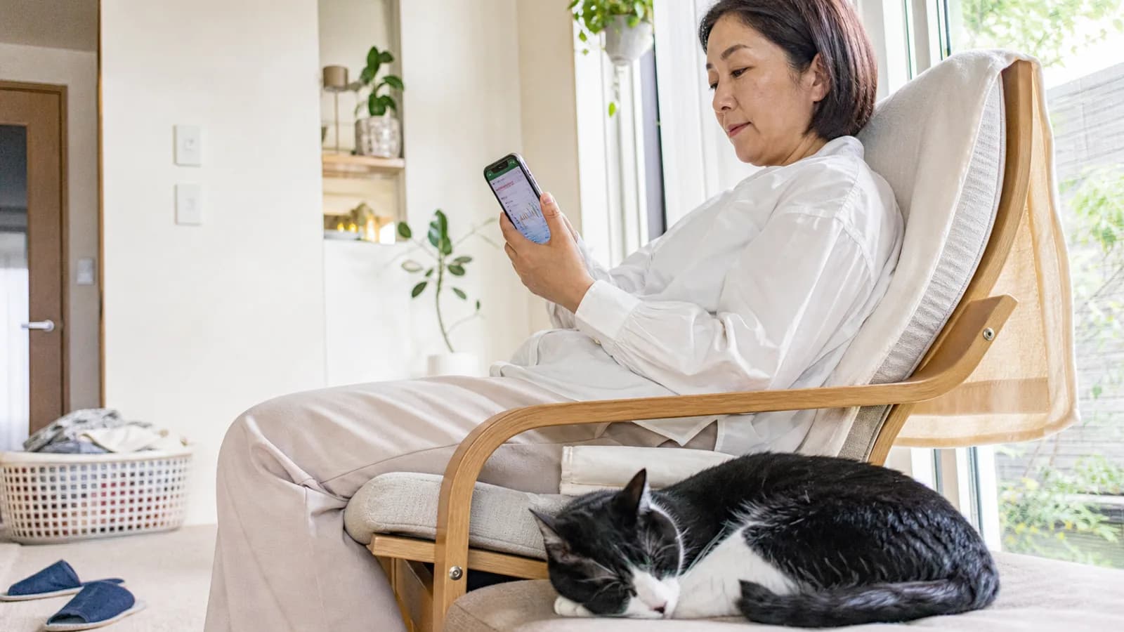 猫の年齢を人間の年齢に換算して確認する飼い主。換算はあくまで目安であり、猫の研究は犬に比べてまだ発展途上