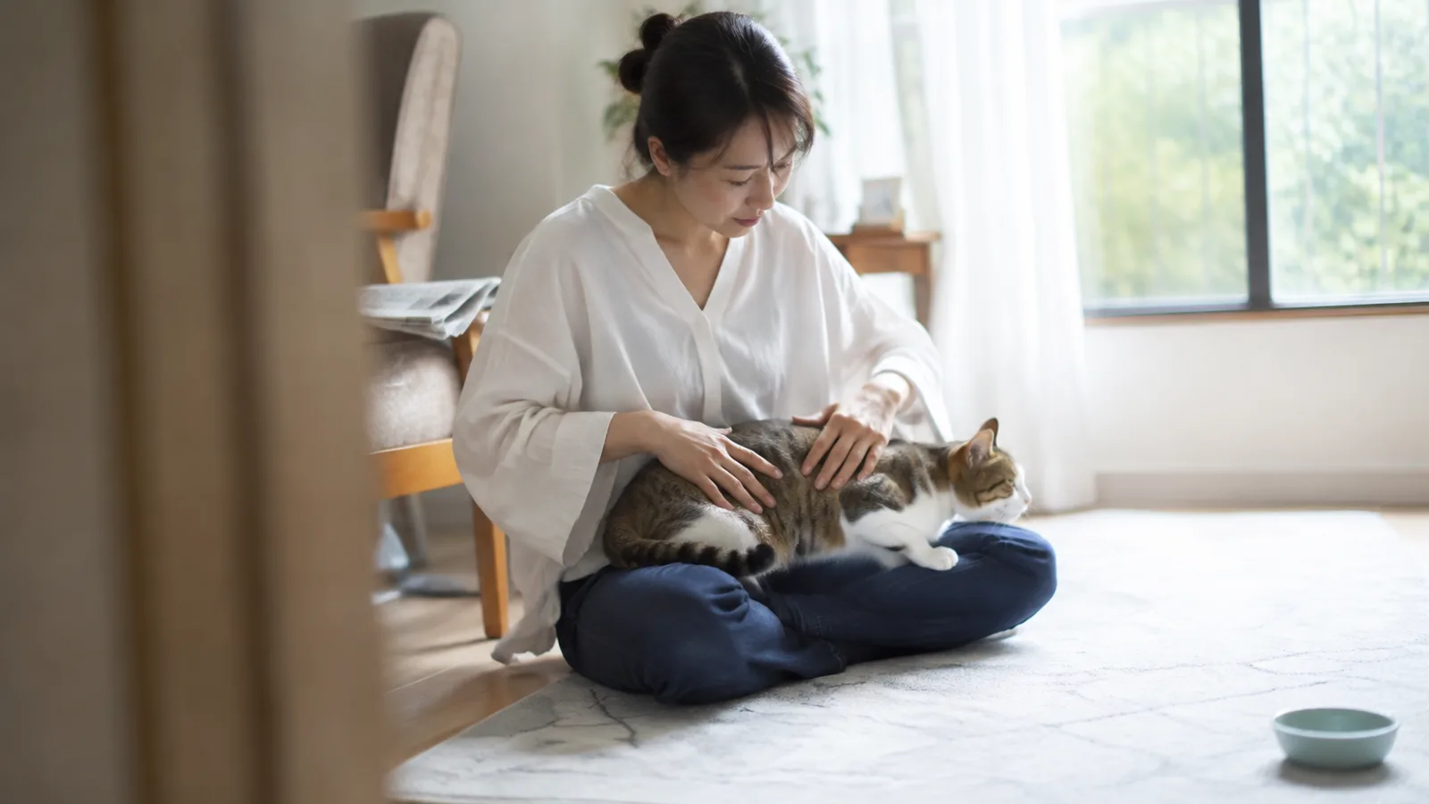 床に座ってひざの猫の体に両手を滑らせて様子を見る女性と、落ち着いたキジトラ白の猫