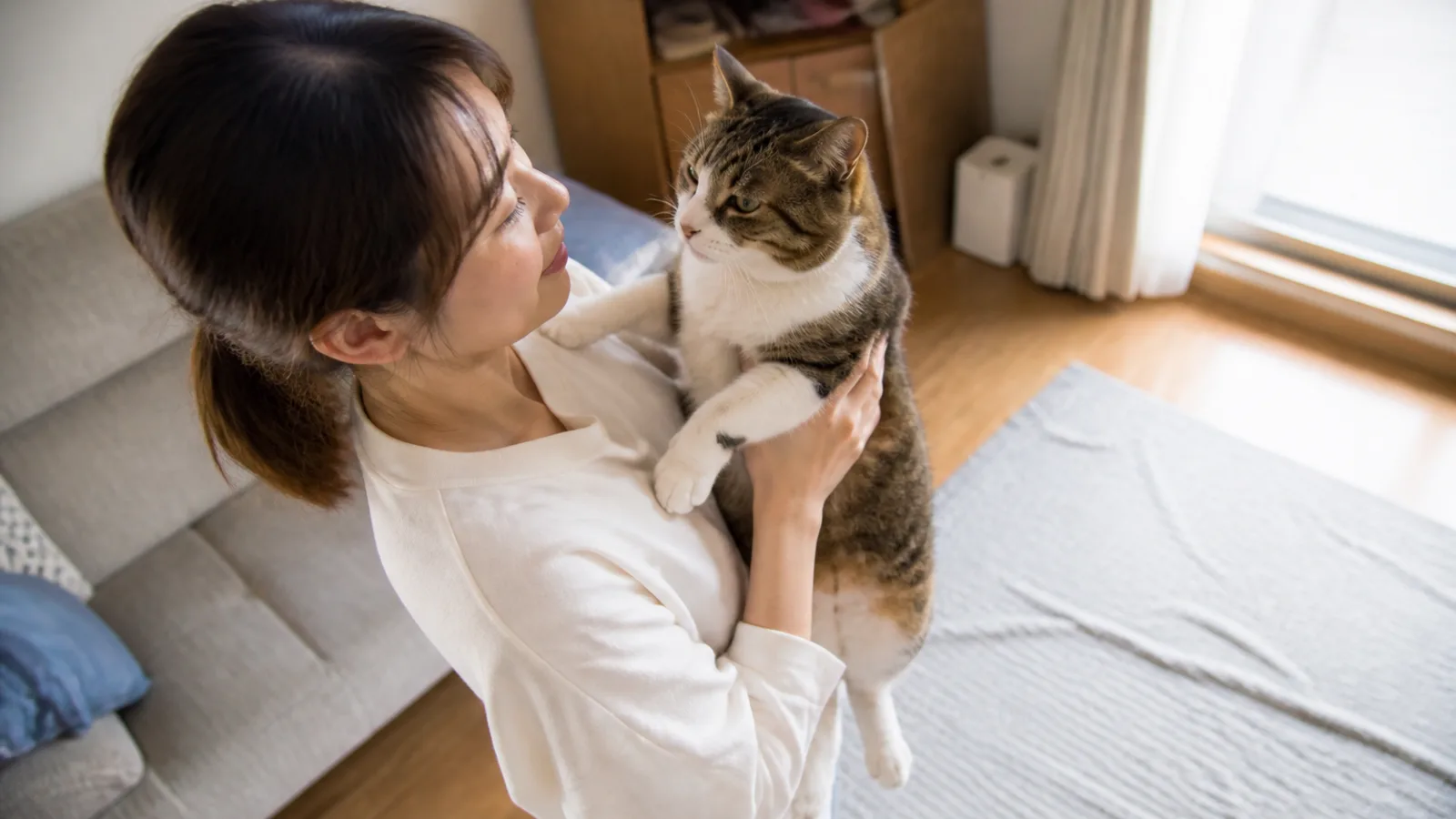 キジトラ白の猫を両手で胸の高さまで抱き上げる女性