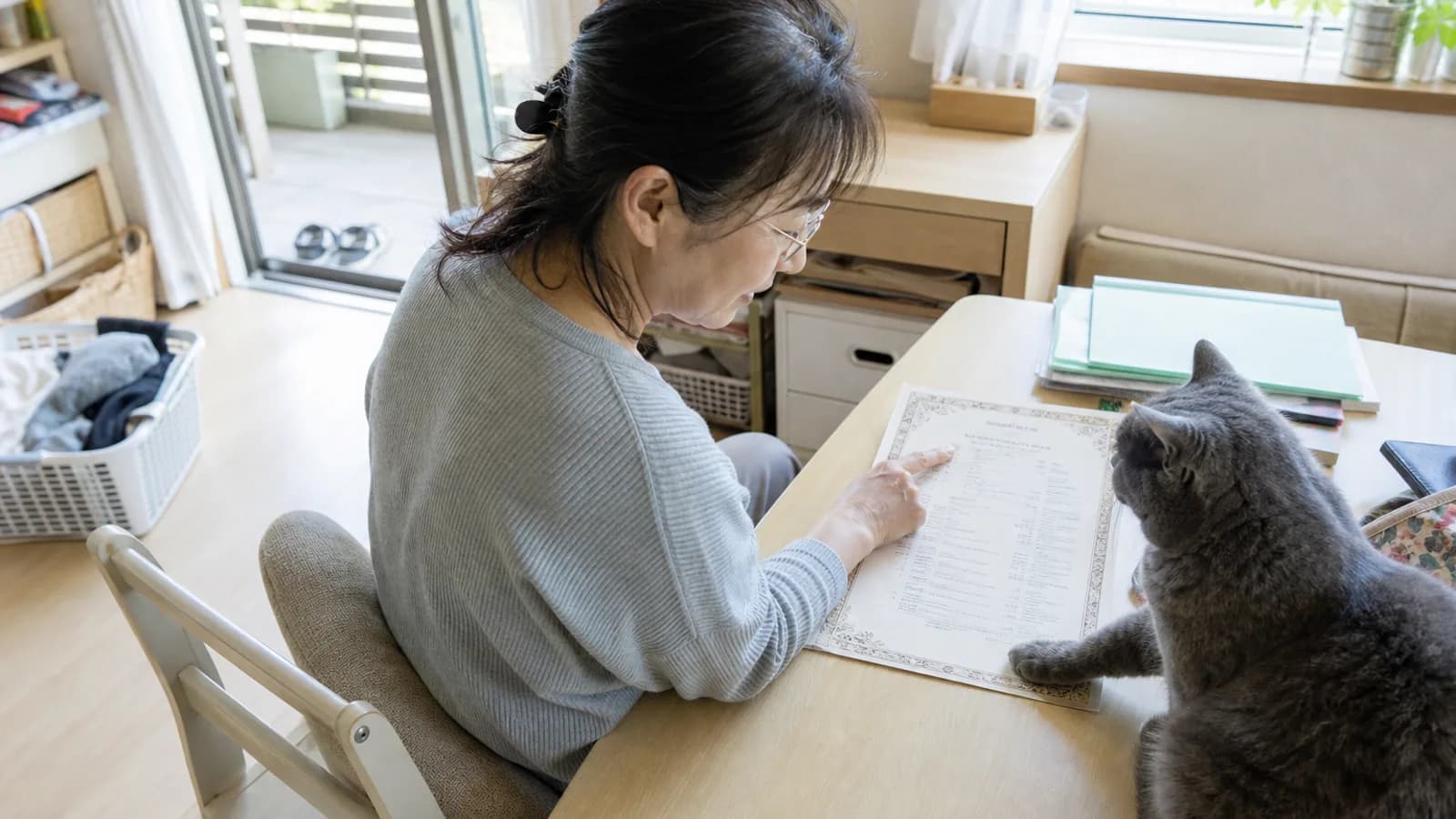 机で猫の血統書の1行を指でなぞって読む女性と、紙の角に前足を乗せるブリティッシュ・ショートヘアー（ブルー）