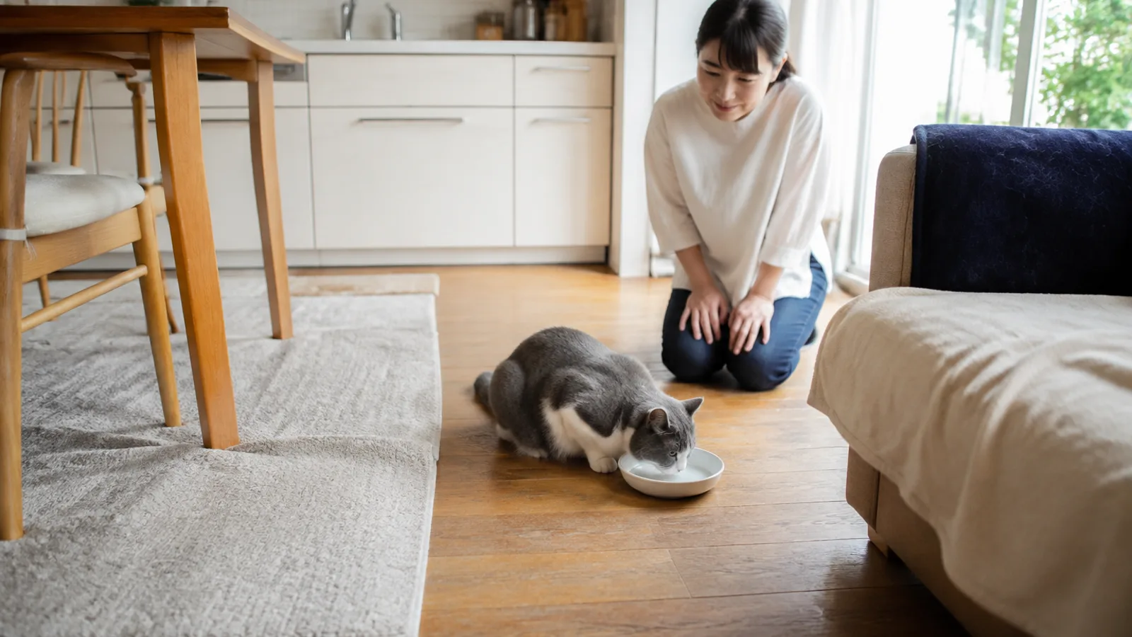 キッチンの床で陶器の水入れから水を飲むグレーと白の猫と、後ろで片膝をついて見守る女性