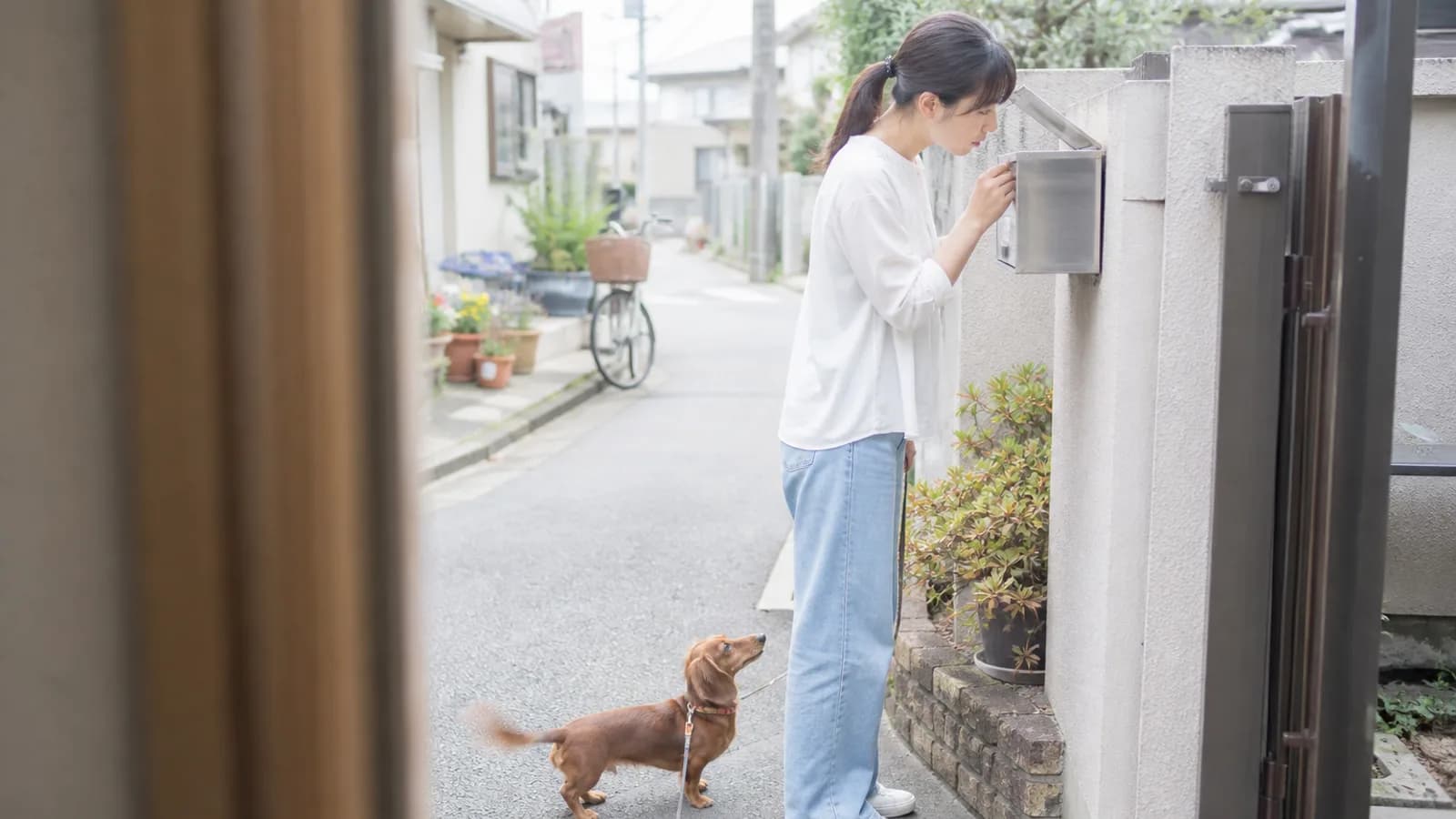 血統書の到着を待つ飼い主と子犬。血統には家系の情報が詰まっている