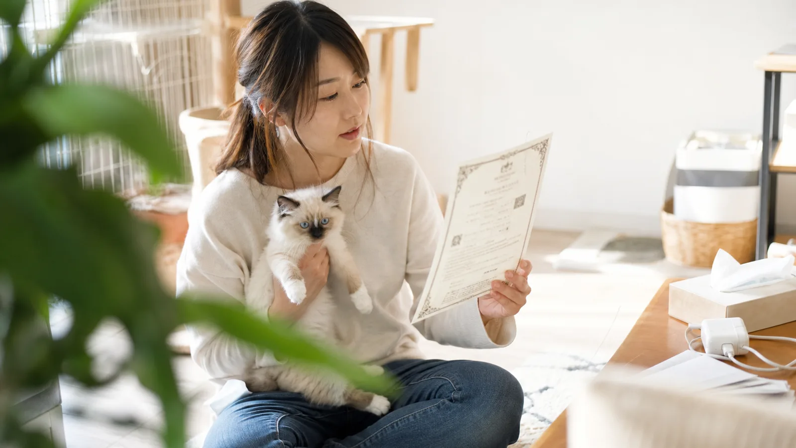 猫の血統書を確認する飼い主。犬と違い複数の団体が発行している
