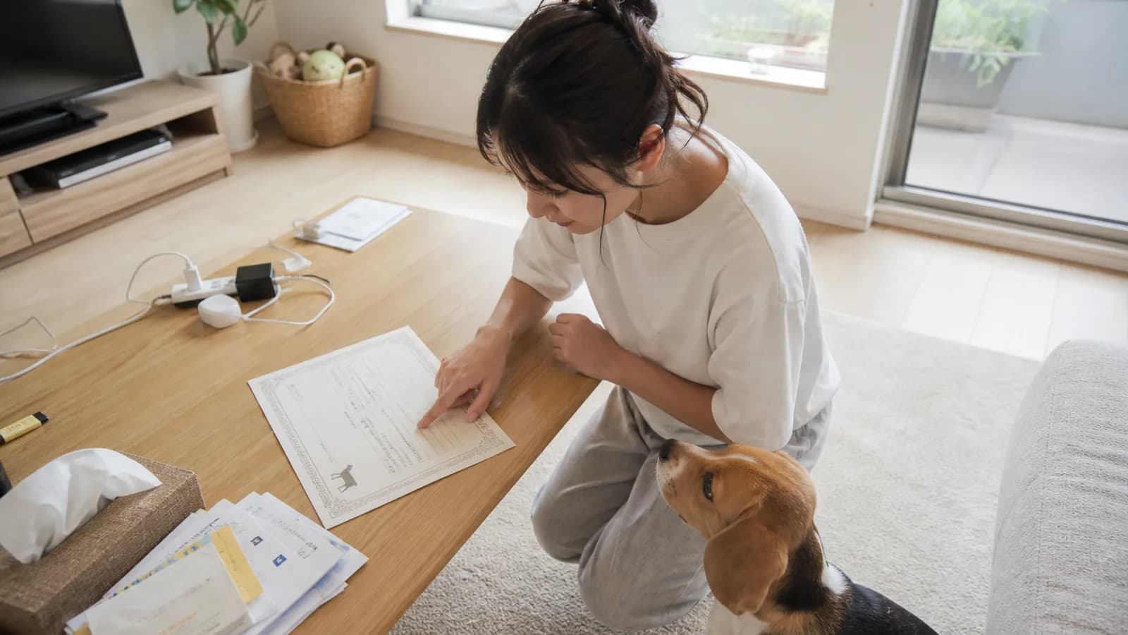血統書の犬名(登録名)を確認する飼い主。呼び名とは別の正式な名前が記載されている