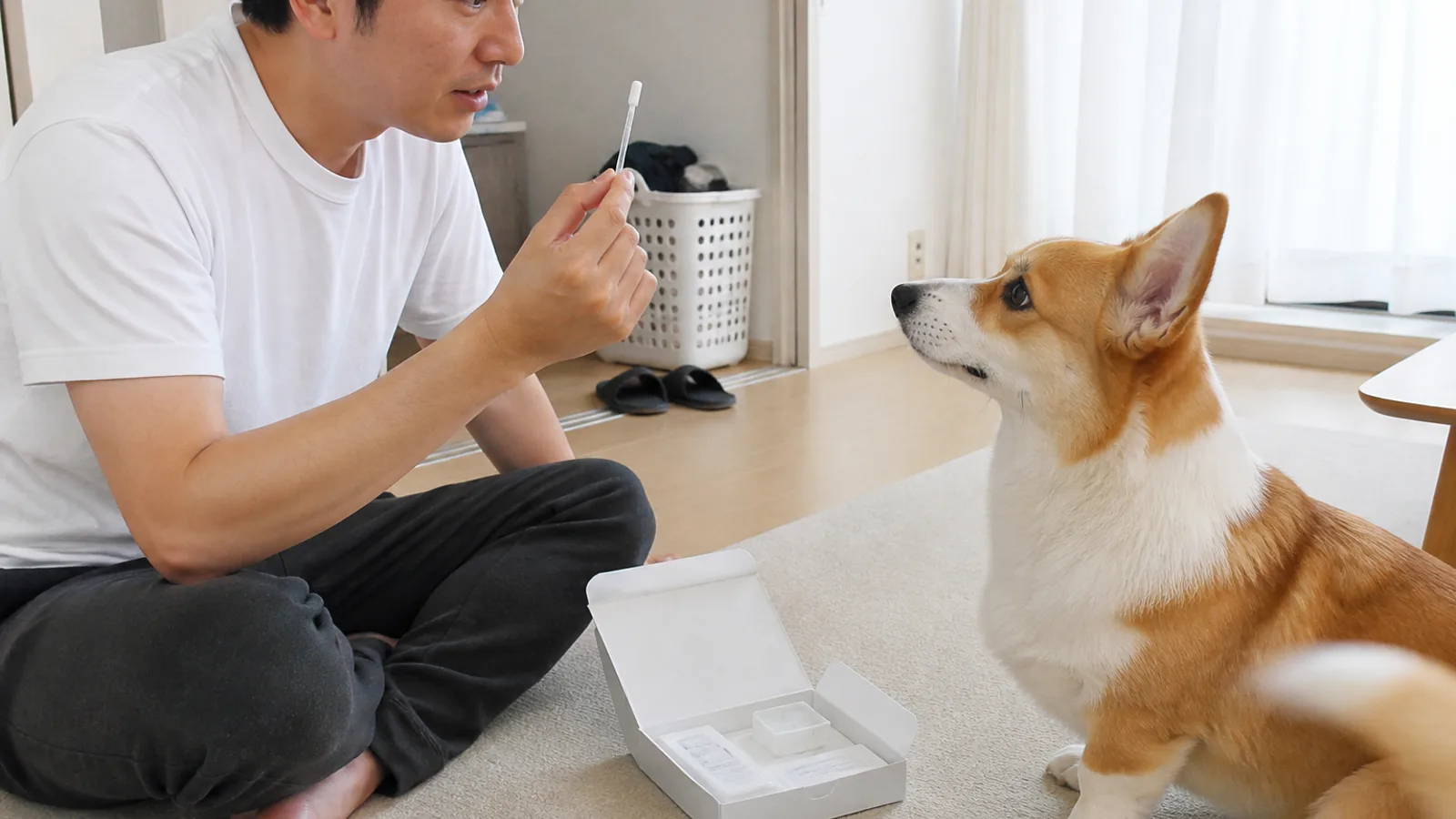 犬の遺伝子検査キットを手にする飼い主。検査でわかることと、わからないことを知っておくことが大切