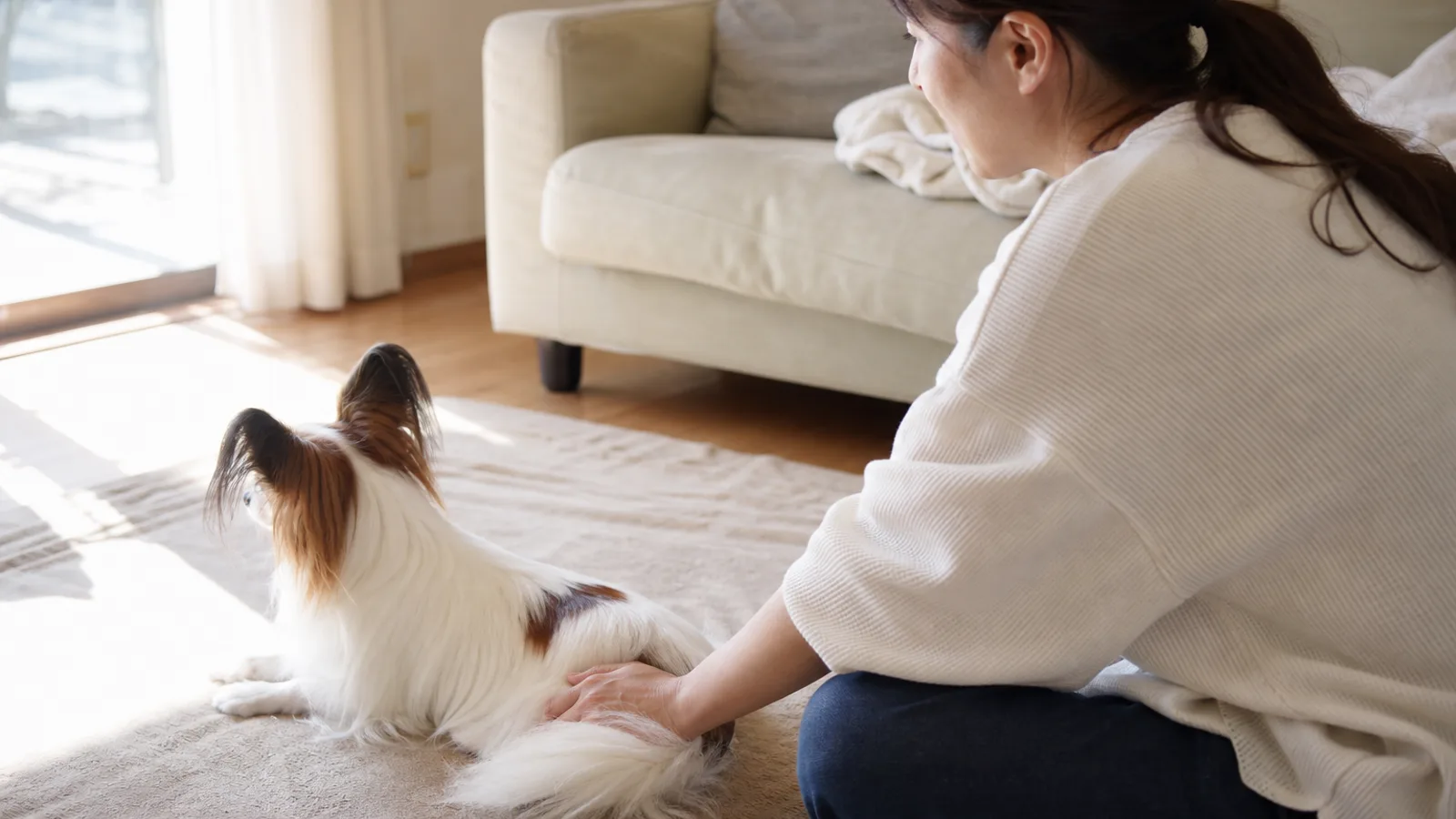 パピヨン(犬)と暮らす飼い主。報告が多いとされる病気を家系で理解する