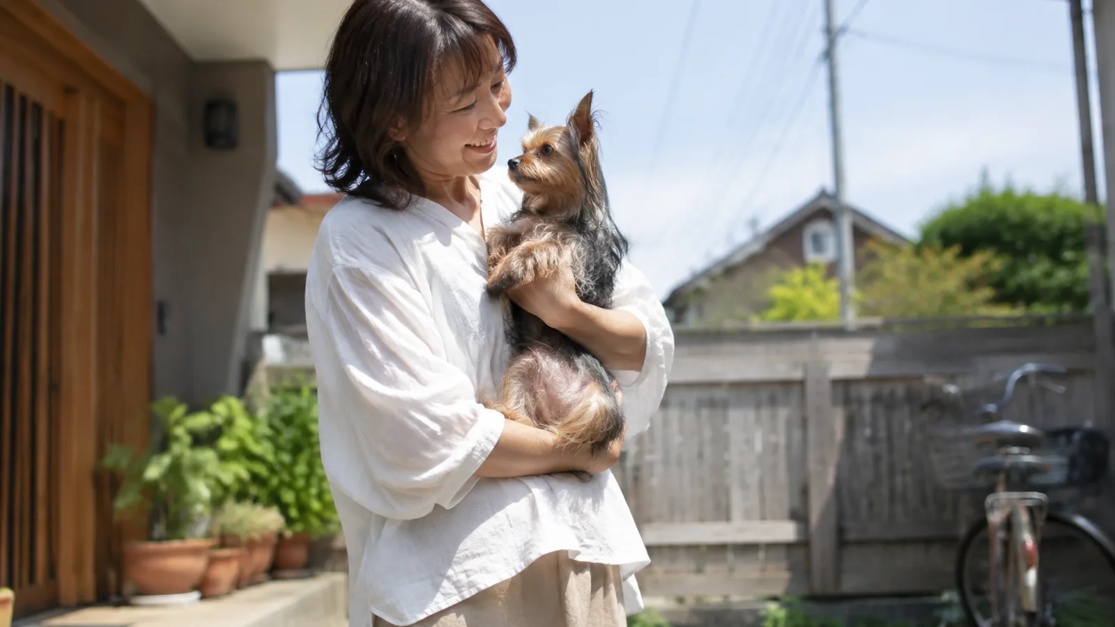 柵のある庭で飼い主に抱かれる小型犬。水頭症は特定の犬種だけの病気ではないことと、家系で知っておきたいこと