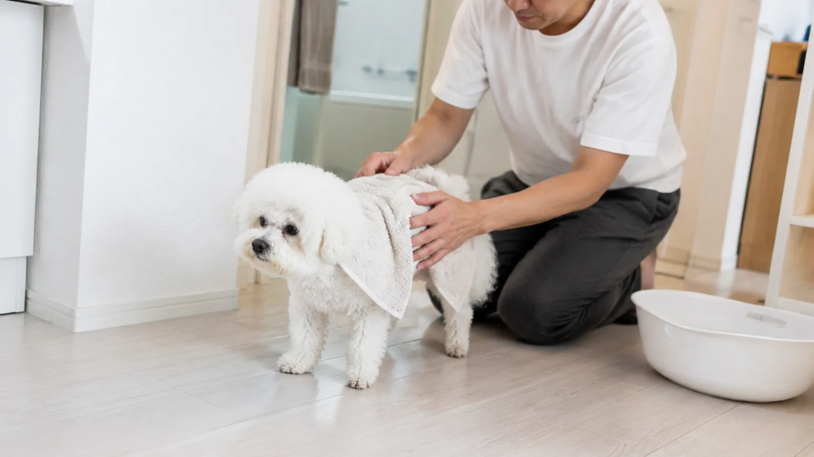 トリミング後のビションフリーゼと飼い主。ひざ・目・尿路の健康と家系での備え