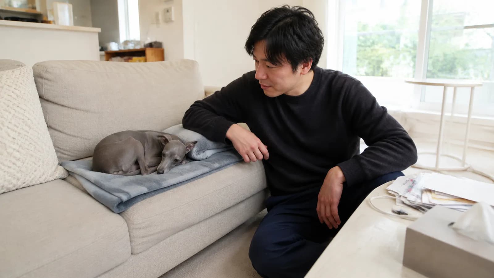 イタリアングレーハウンドの性格と特徴。犬種標準が定める体高32〜38cmと体重最高5kgという数値からわかる体のつくり