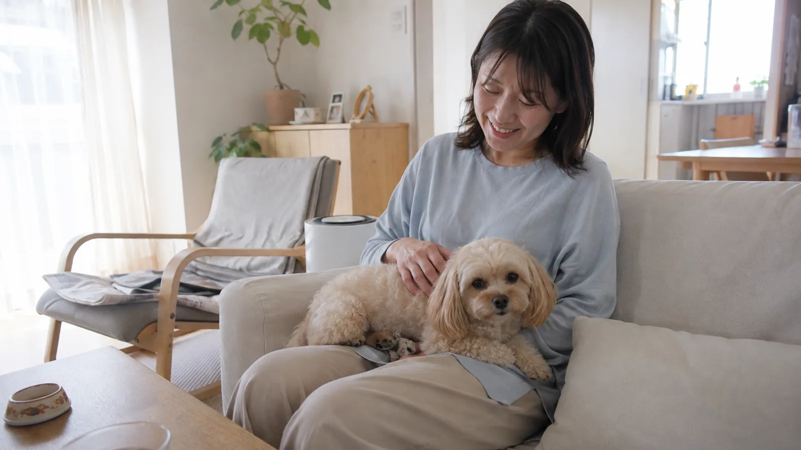 ペキプーの性格と特徴。トイ・プードルとペキニーズ、体高と体重で決め方が違う2つの犬種標準からわかること