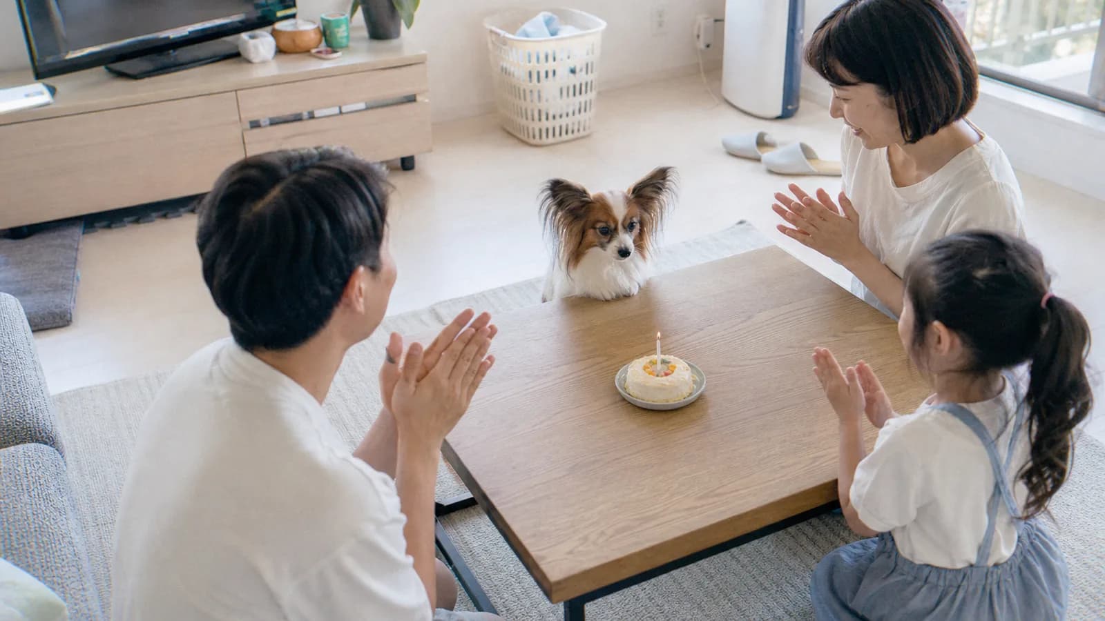 誕生日を家族に祝ってもらう犬。同じ実家から来た兄弟犬と一緒に祝う楽しみ方もある