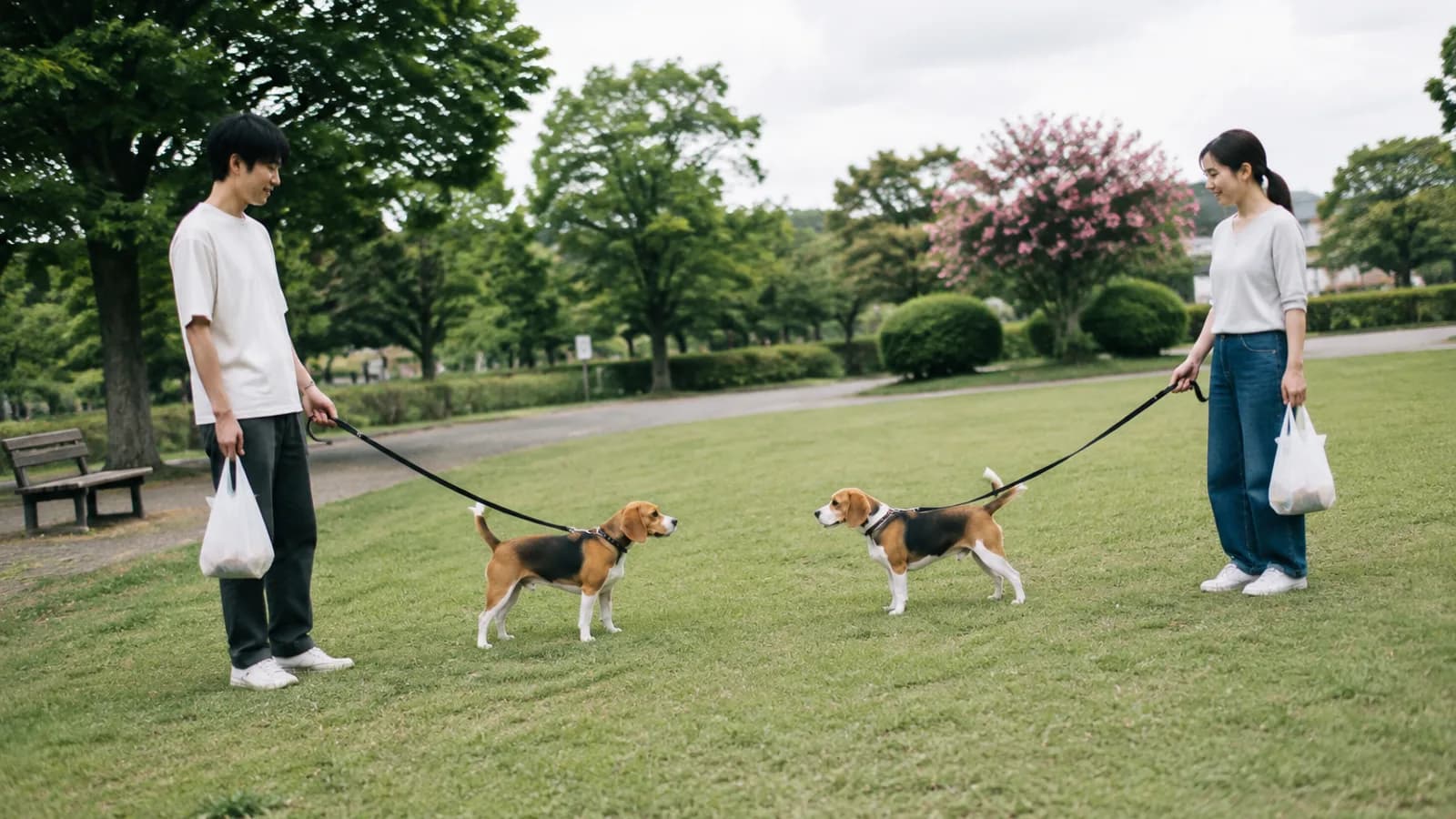 屋外で距離を保ちながら顔を合わせる兄弟犬と、それぞれの飼い主。会うと決めたら、先に決めておくと安心なことがある