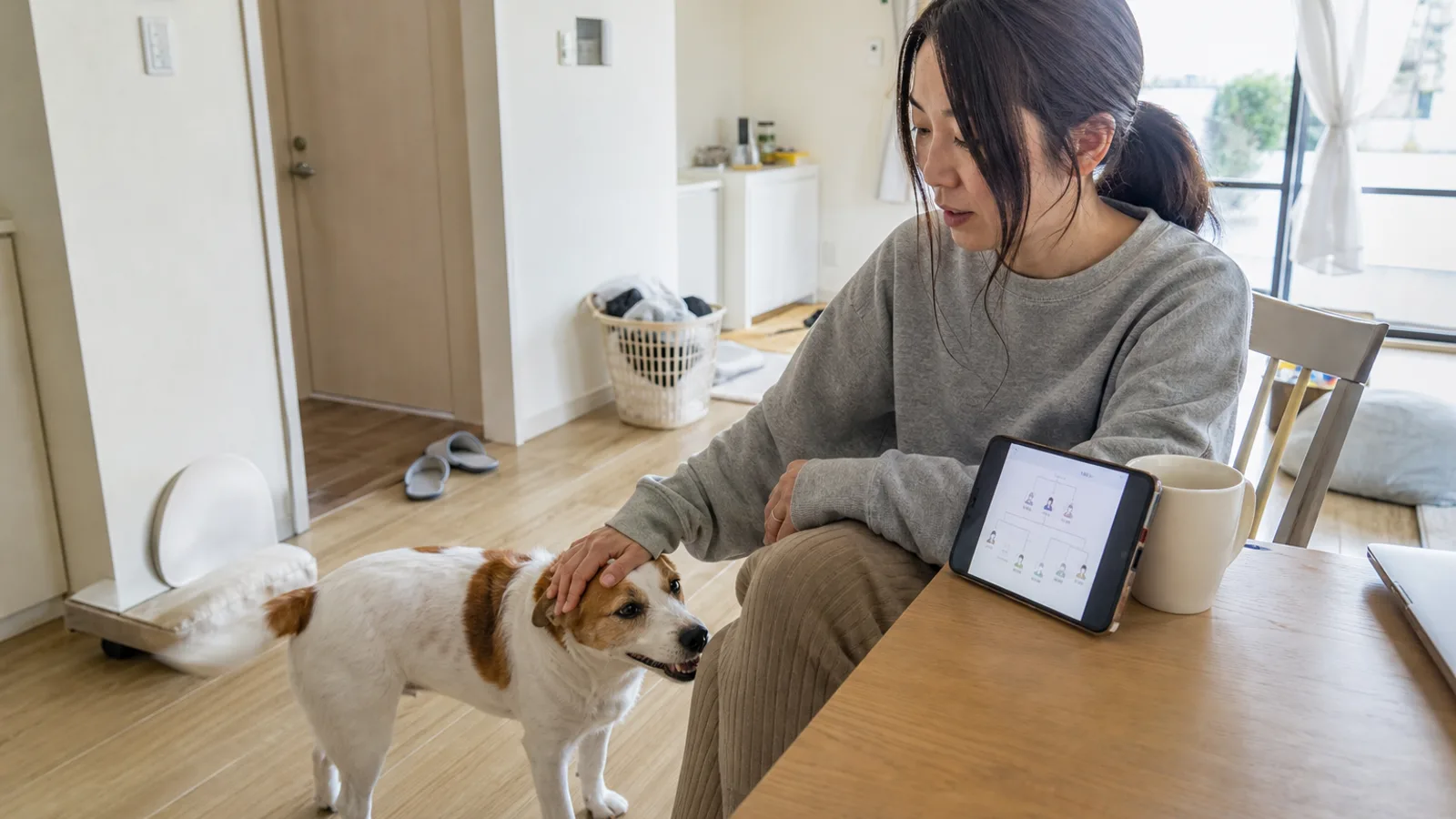 犬の遺伝のしくみをやさしく理解する飼い主。家系図を見ながらキャリアや優性劣性の意味を確認している