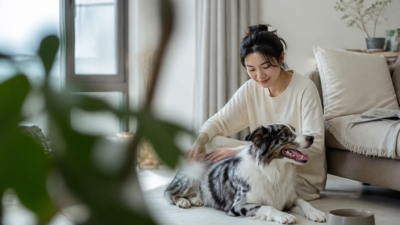 マール模様の犬と暮らす飼い主。毛色と健康の関係を知り、うちの子の記録を残していく