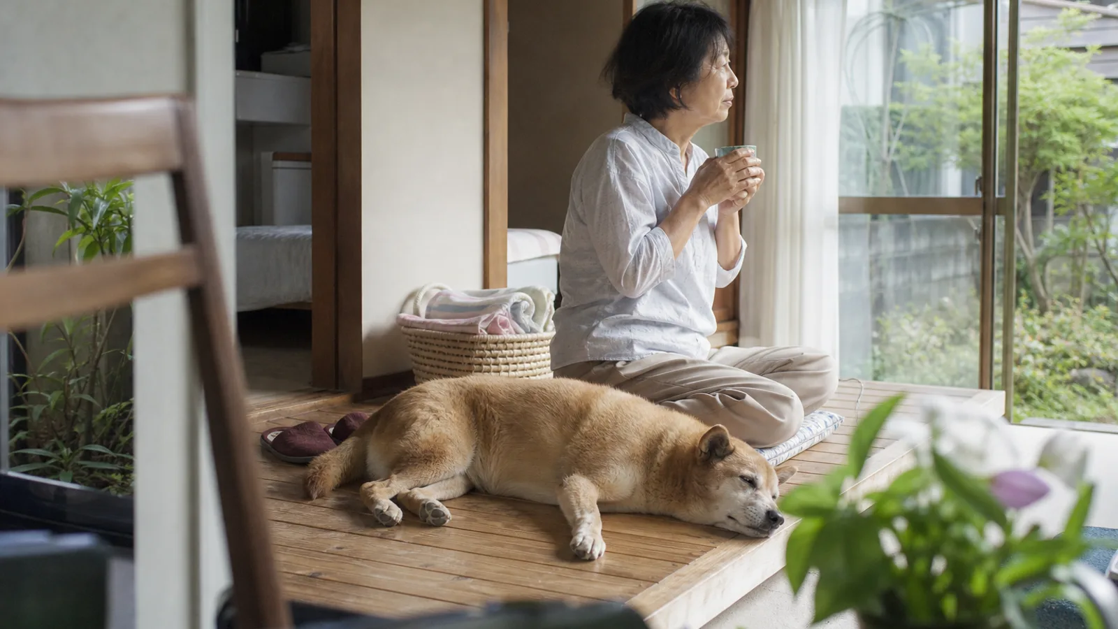 穏やかに過ごすシニア期の犬と、そばで見守る飼い主。シニア期はこれからも続く日常のひとつの時期