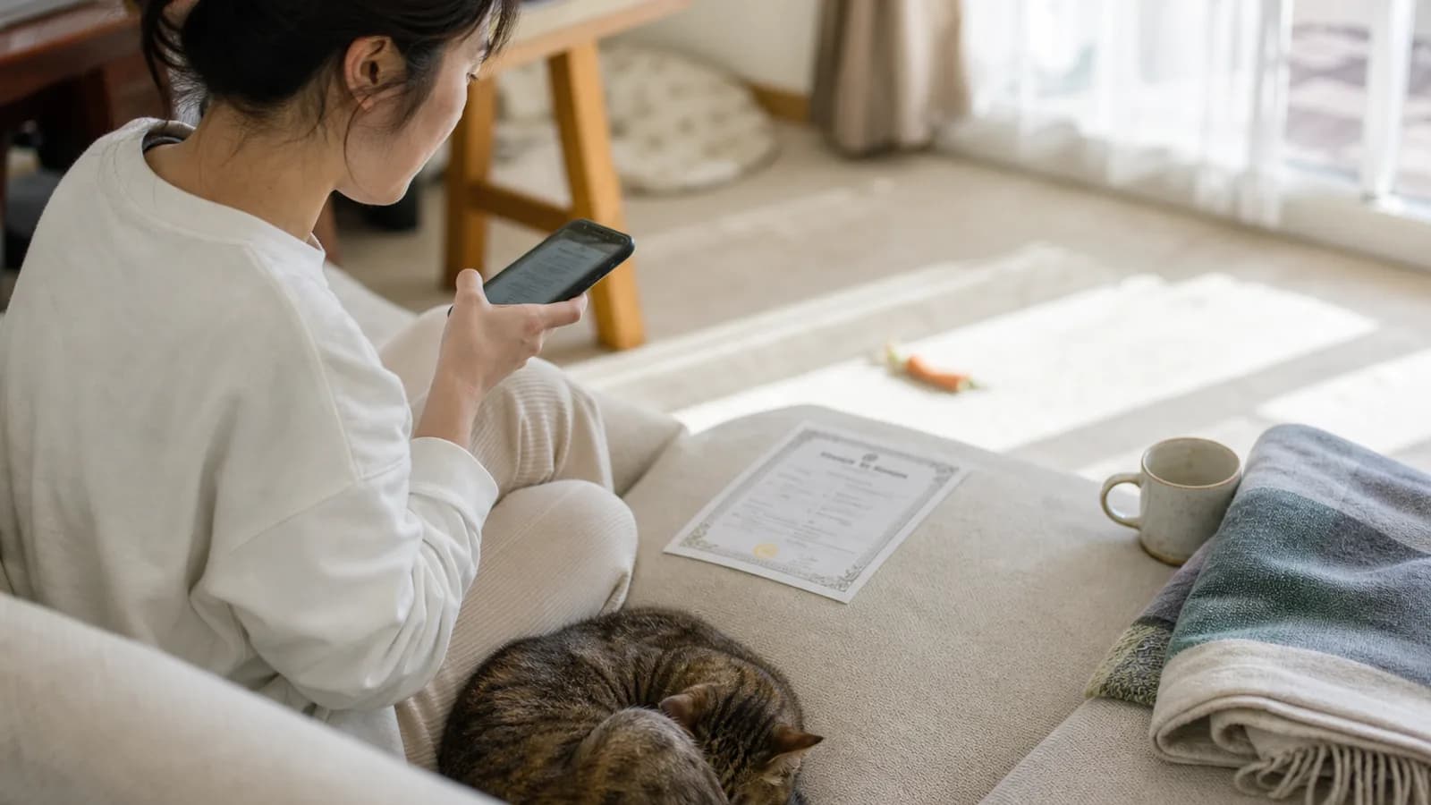 猫の血統書をスマホで撮影する飼い主。犬用のイメージが強いサービスだが猫にも使える