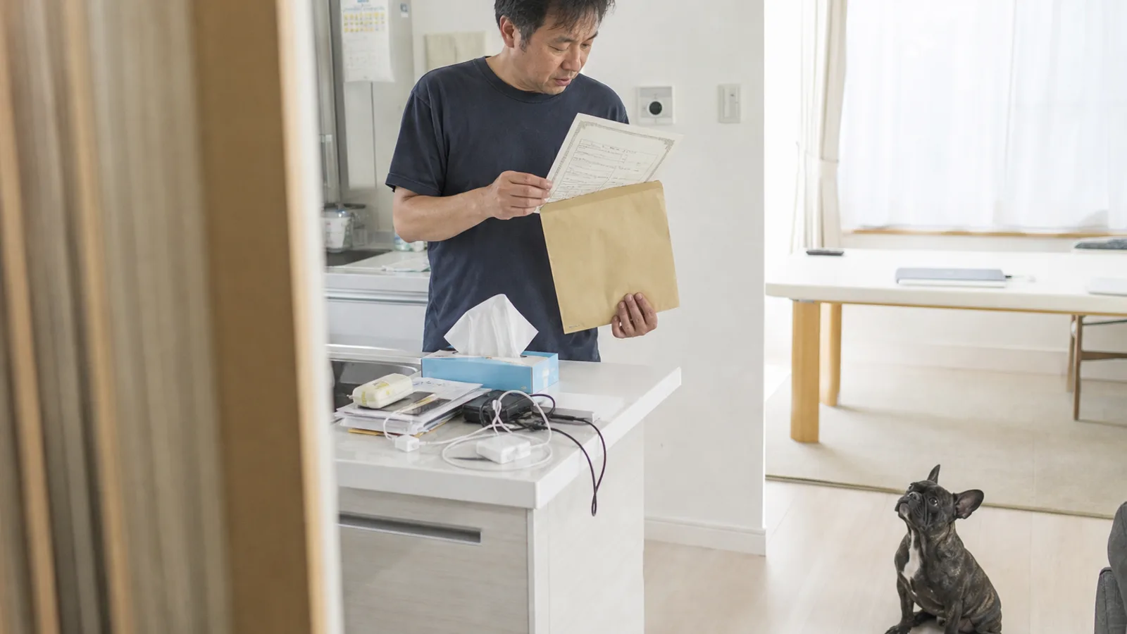 キッチンカウンターで大きな茶封筒から血統書を取り出して見ている男性と、床から見上げるフレンチ・ブルドッグ