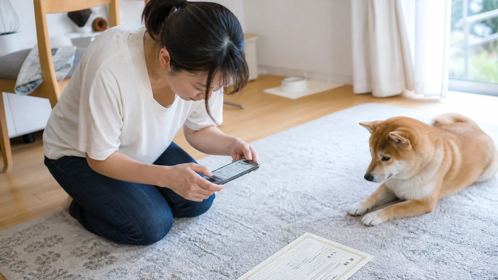 ラグの上に置いた血統書をスマホで真上から撮影する女性と、横で見守る柴犬。スマホ画面に血統書が写っている