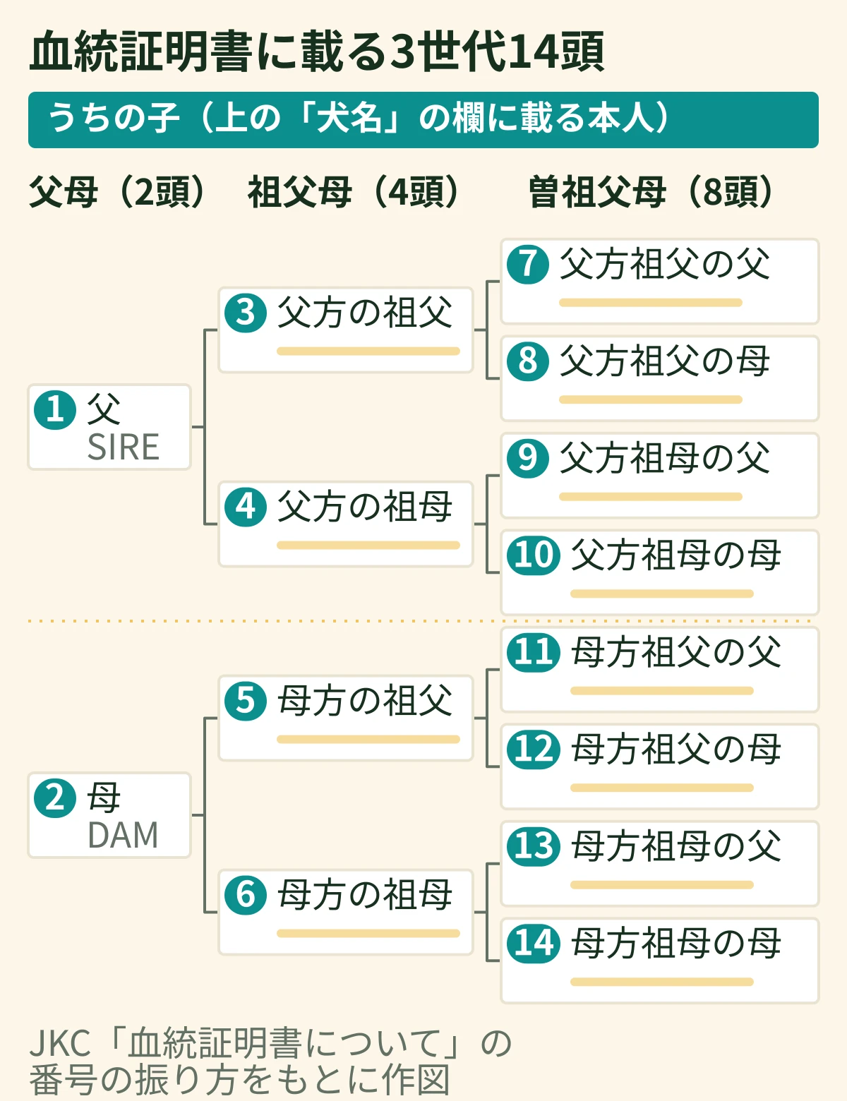 3代祖14頭の番号の配置図。父1・母2、父方の祖父母3・4、母方の祖父母5・6、父方の曽祖父母7〜10、母方の曽祖父母11〜14の枠に番号が振られている