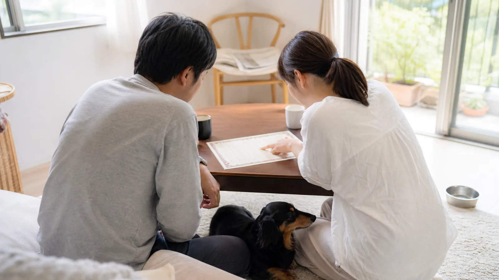 ローテーブルに置いた血統書を指でなぞりながら一緒に読む男女と、二人の間に伏せる黒毛のミニチュア・ダックスフンド