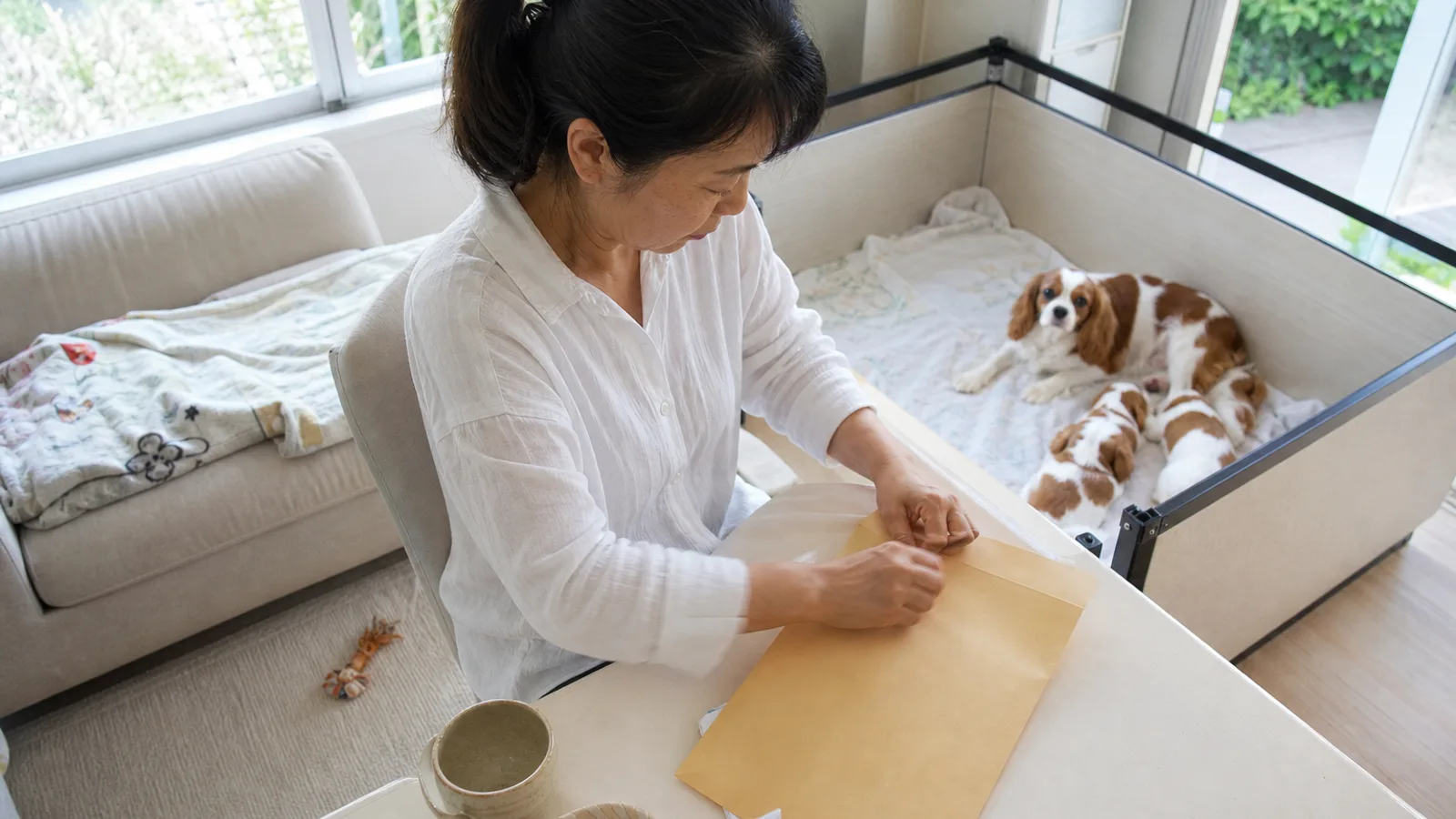 自宅の机で書類を入れた大きな封筒に封をする女性と、背後のサークルで休むキャバリアの母犬と子犬
