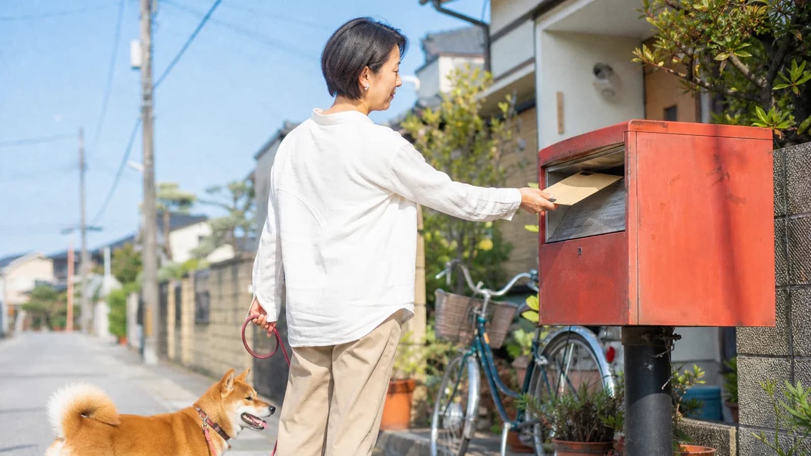 青空の下、住宅街の赤い郵便ポストに大きな封筒を投函する女性と、隣で待つ柴犬