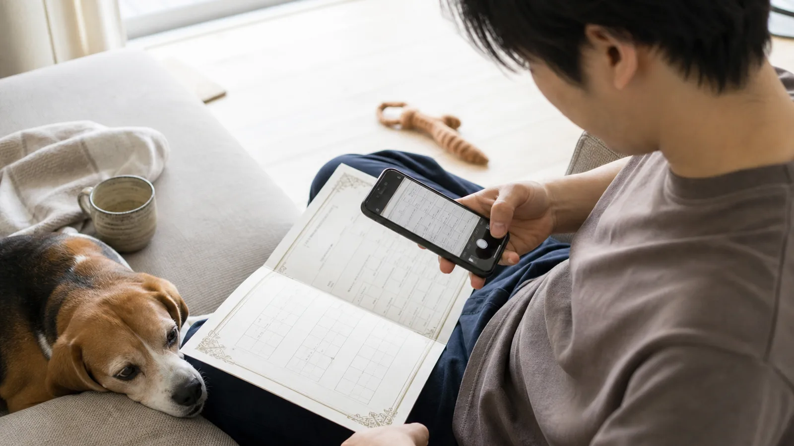 ソファで膝の上に広げた血統書を、スマホを斜めにかざして撮る男性。画面に血統書が写っている。隣でビーグルがクッションにあごをのせている