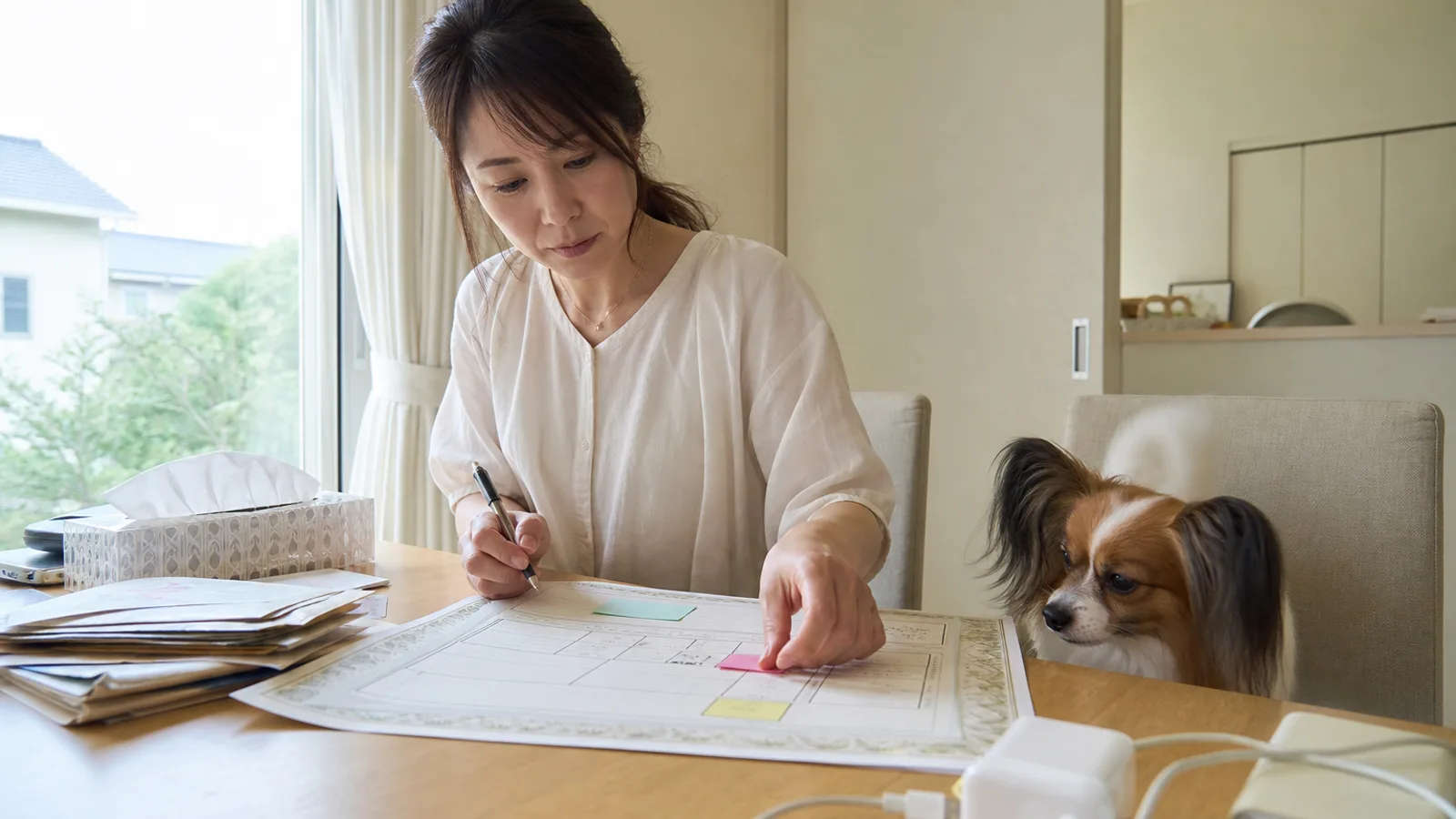 ダイニングテーブルで血統書の各欄に色つきの付箋を貼る女性と、隣の椅子のパピヨン
