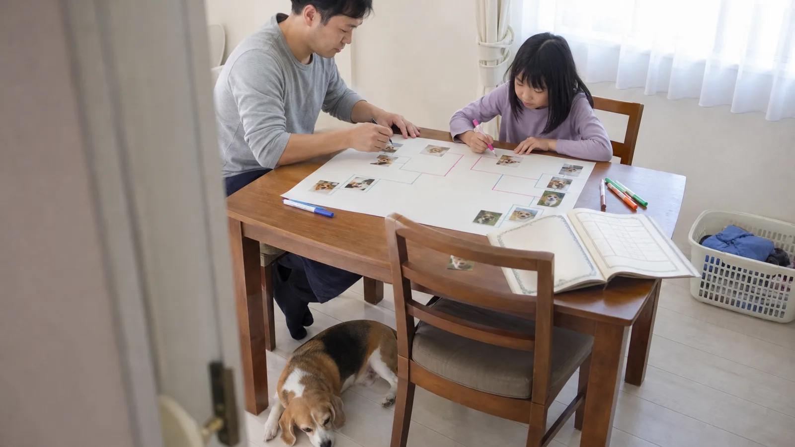 大きな画用紙に色ペンで家系図の枠を描き、愛犬の写真を貼っていく父と小さな女の子。横に血統書、テーブルの下にビーグル