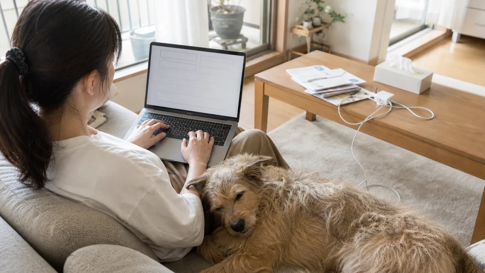 ソファでノートPCに向かう女性と、隣で寄り添って眠る雑種犬