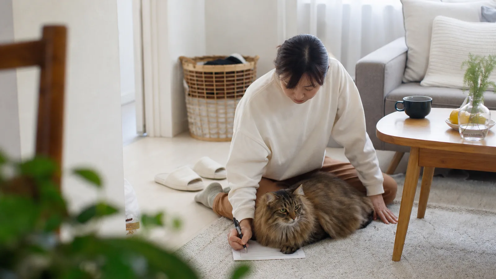 床で申請用紙に記入する女性と、その用紙の上に座り込むノルウェージャンフォレストキャット