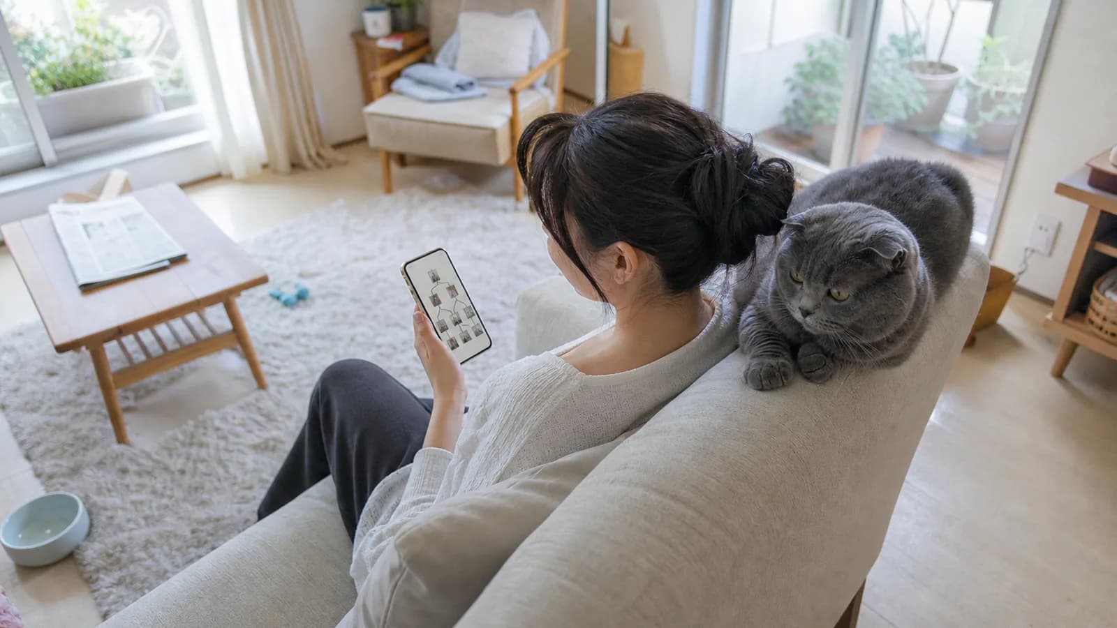 ソファでスマホの家系図画面を見る女性と、ソファの背にいるスコティッシュフォールド