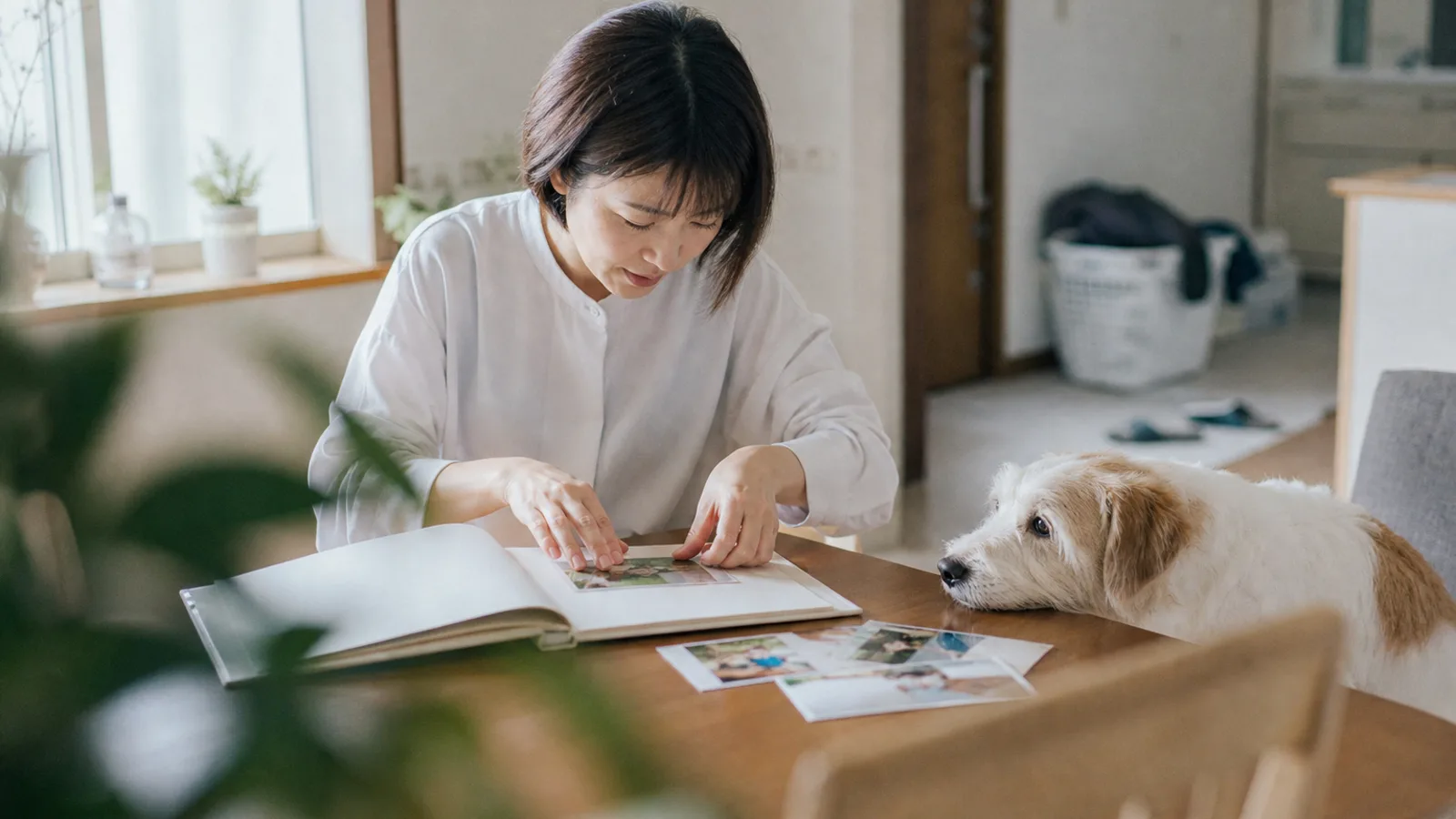 テーブルでアルバムに写真を貼る女性と、テーブルの縁にあごを乗せて見ている雑種犬