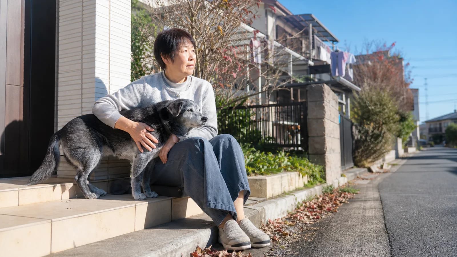 青空の下、家の玄関前の階段に座る女性に体を寄せる年配の雑種犬