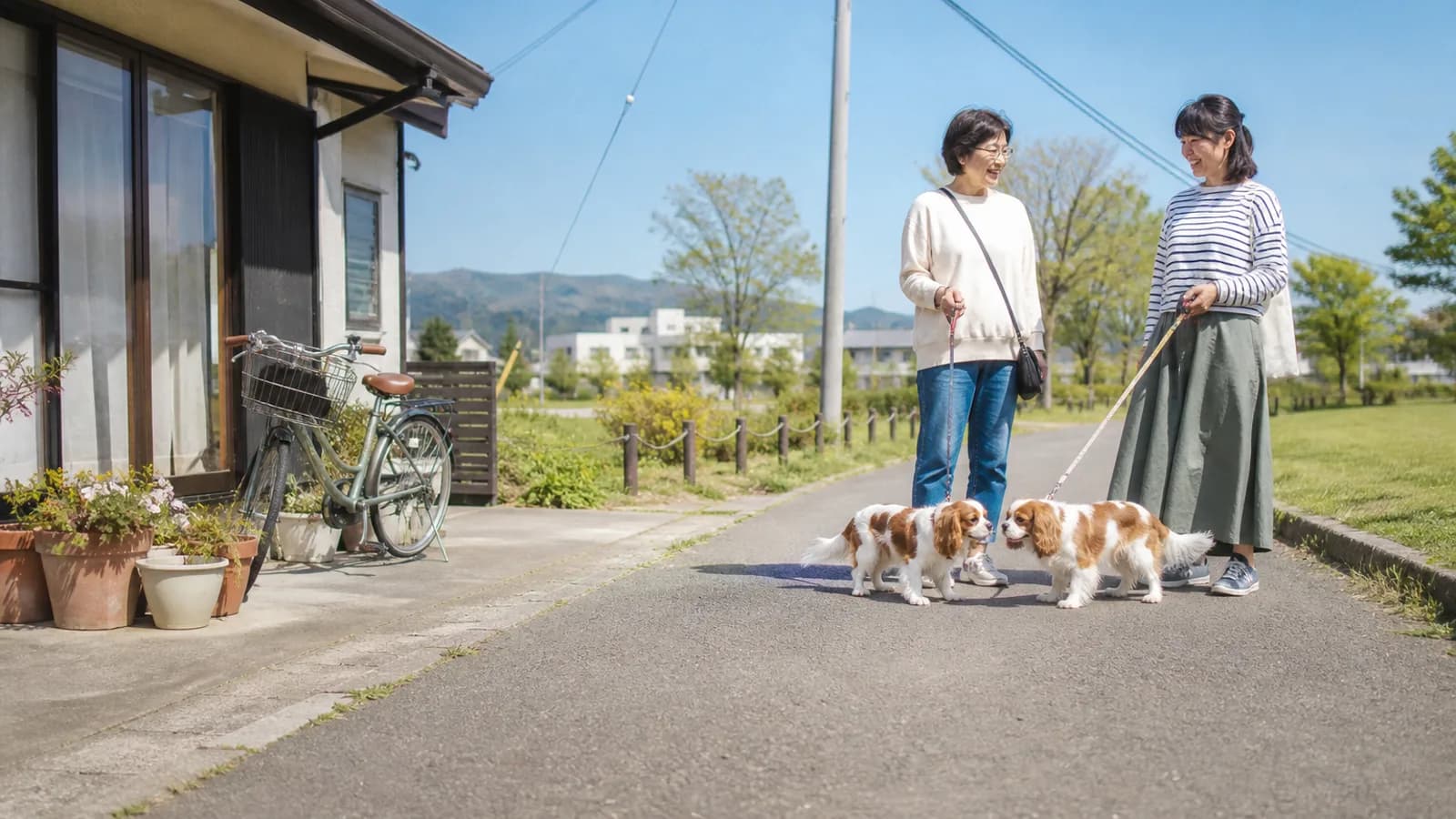 青空の公園の小道で鼻を寄せ合う2頭のキャバリアと、リードを持って立ち話をする飼い主の女性2人