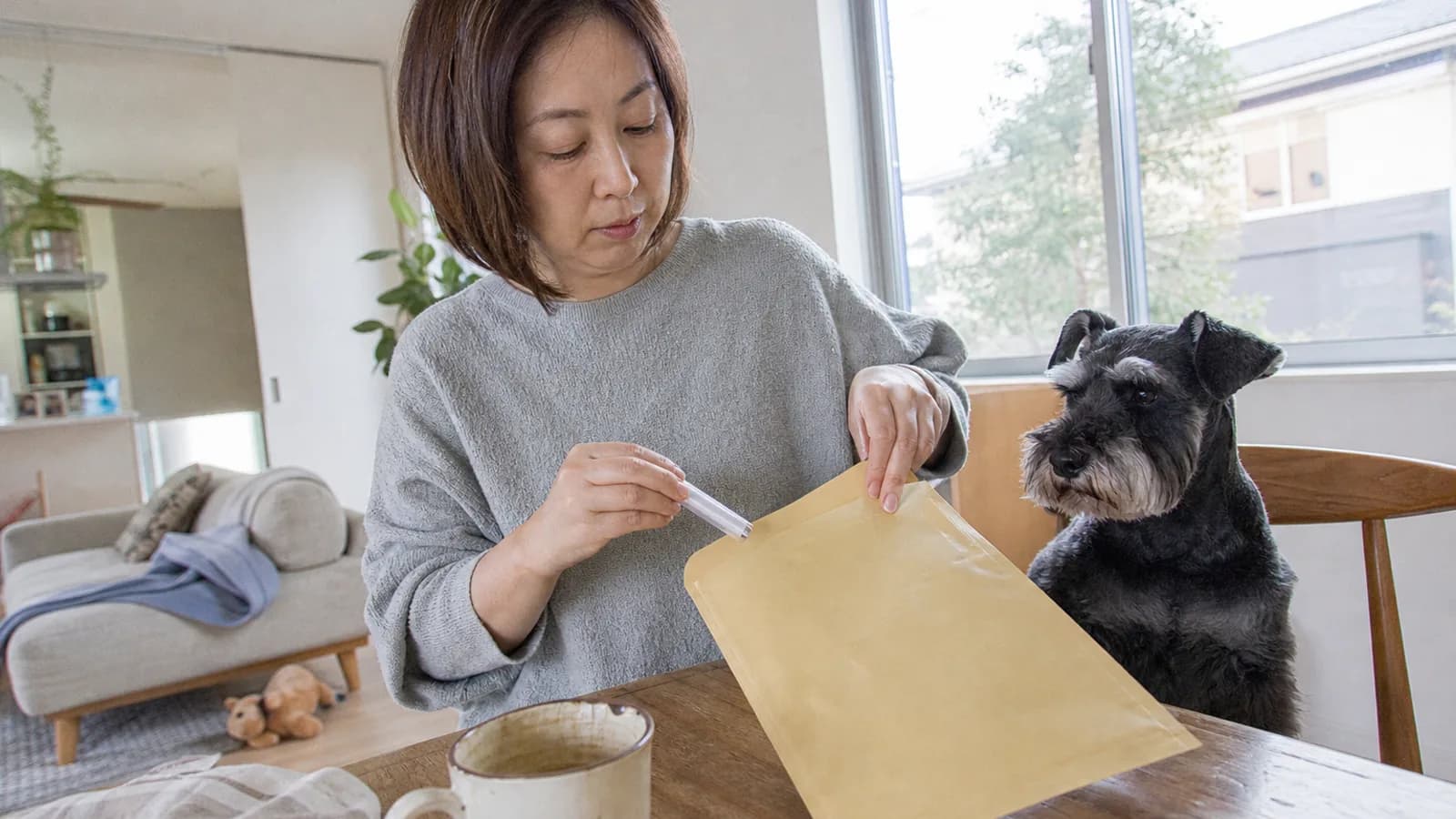 キッチンテーブルで小さな採取チューブを返送用の封筒に入れる女性と、隣の椅子のミニチュアシュナウザー
