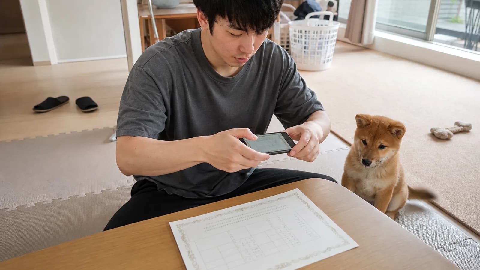 ローテーブルに置いた血統書をスマホで撮影する男性と、横で見ている柴犬の子犬