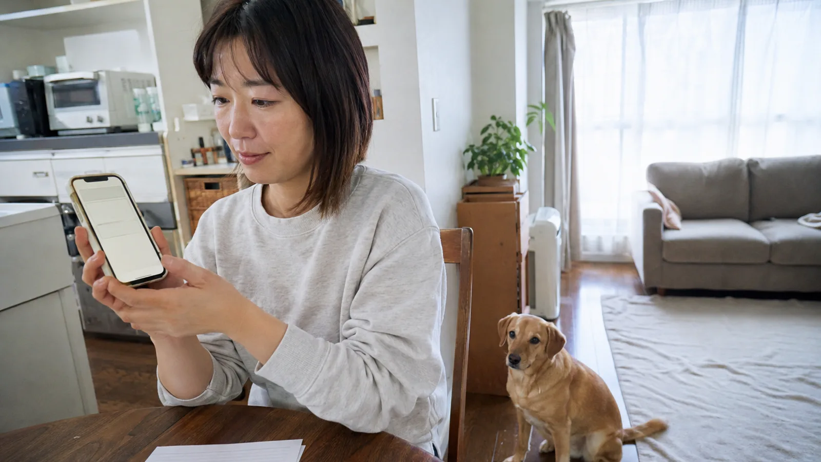 ダイニングでスマートフォンの空欄だけの入力画面を見る女性と、椅子の向こうの床に座る短毛の中型犬