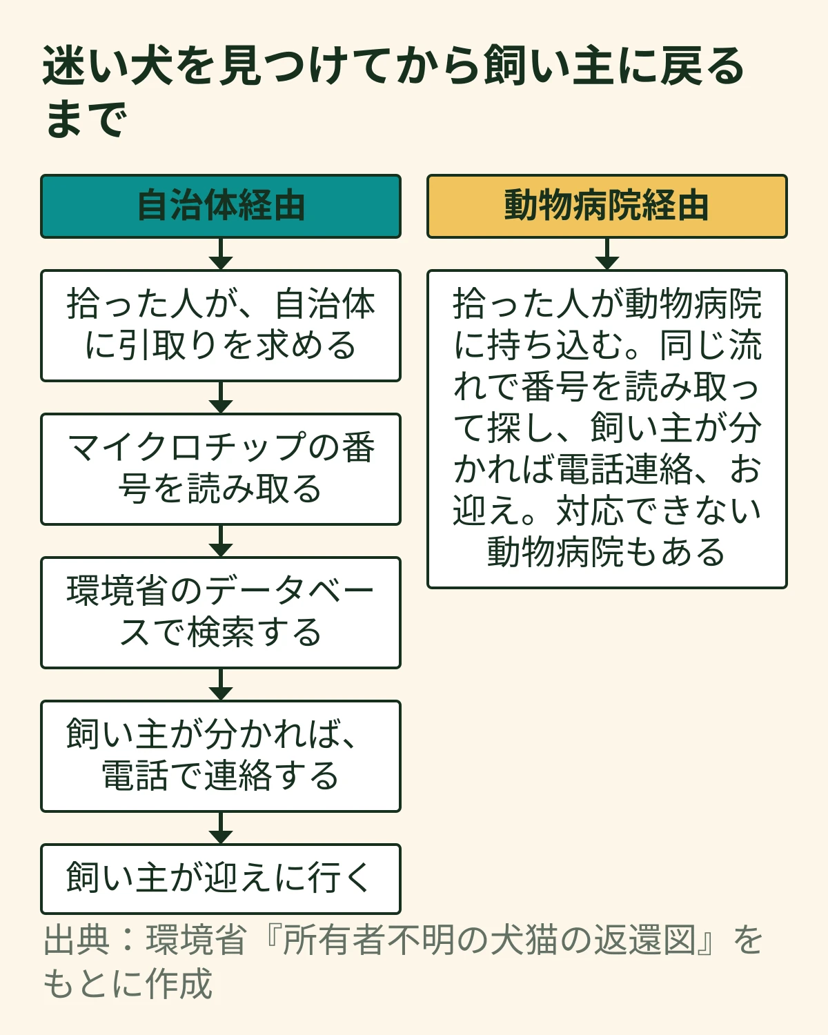 マイクロチップが入っている迷い犬が飼い主に戻る流れ図。自治体経由は、拾った人が引取りを求める、番号を読み取る、環境省のデータベースで検索、飼い主に電話、迎えに行くの順。動物病院経由も同じ流れ
