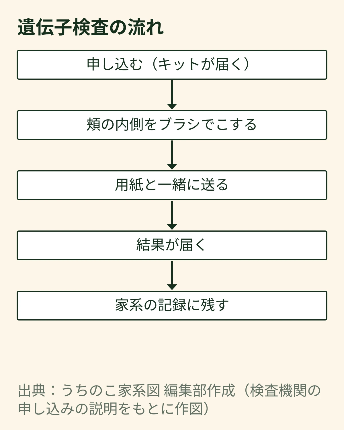 遺伝子検査の流れの図:申し込む(キットが届く)、頬の内側をブラシでこする、用紙と一緒に送る、結果が届く、家系の記録に残す