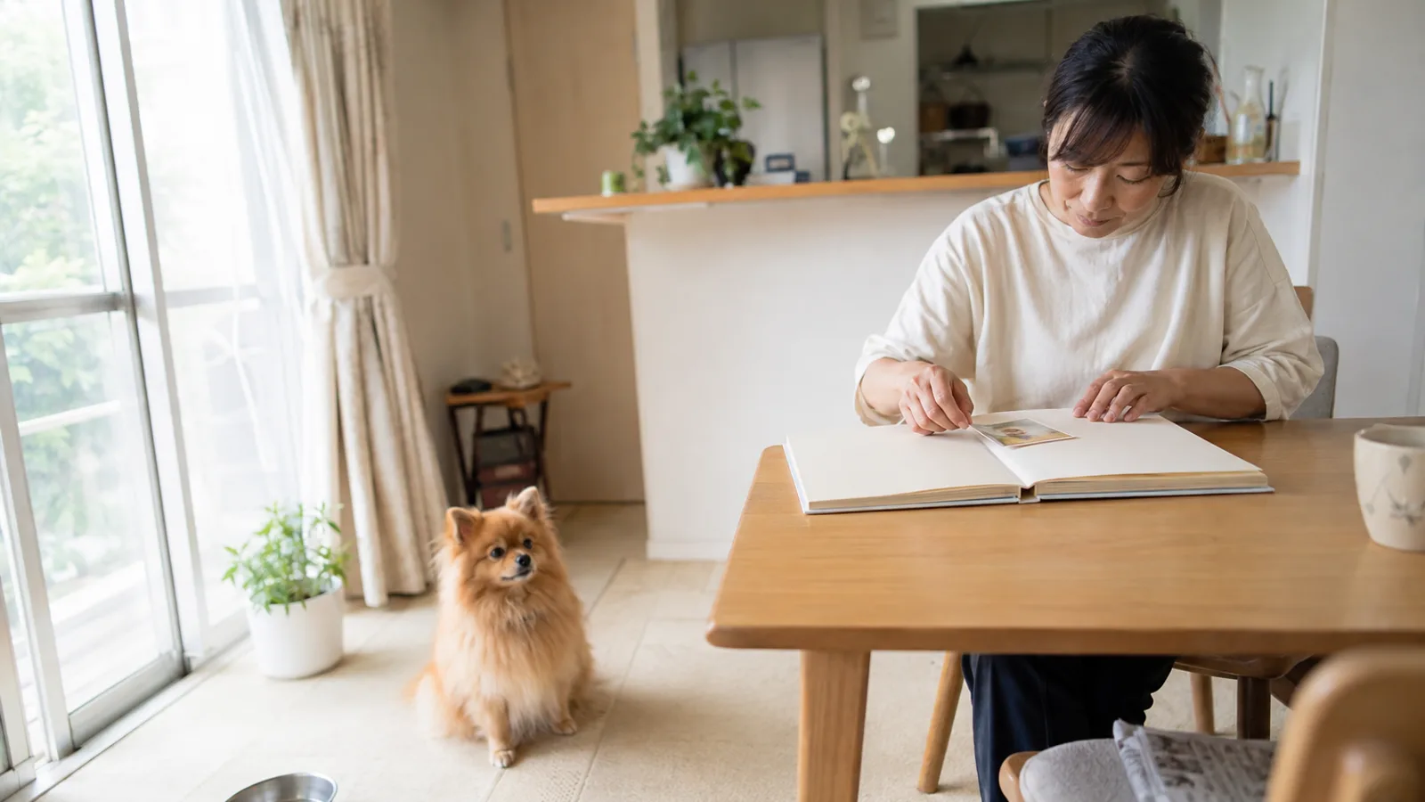 アルバムの台紙に若い犬のプリント写真を貼る女性と、足元に座るオレンジのポメラニアン